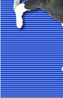 Akita