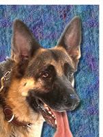 German Shepherd Dog