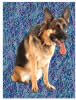 German Shepherd Dog