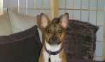 Chiquita