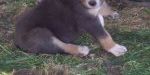 Weatherby
