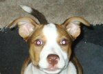 My Little Girl, Chica