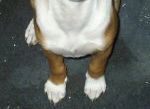 My Little Girl, Chica